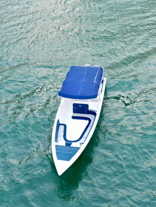 p 6