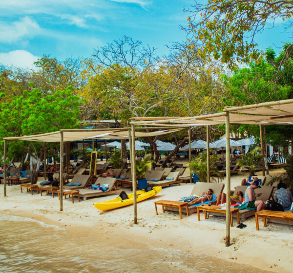 Adobe Express - file (5)