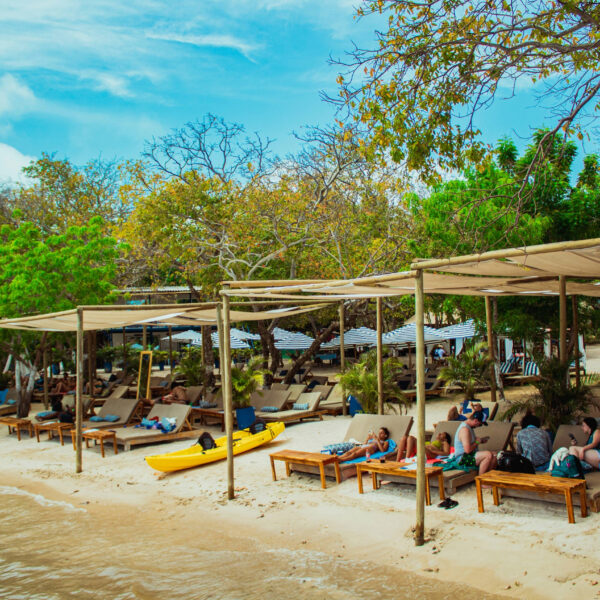 Adobe Express - file (6)